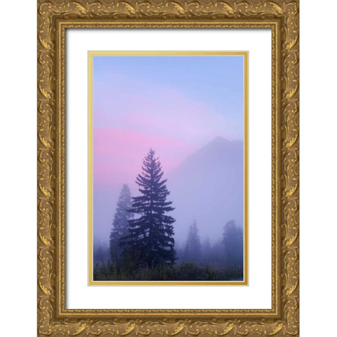 Canada, BC, Mt Robson PP Foggy sunrise scenic Gold Ornate Wood Framed Art Print with Double Matting by Paulson, Don