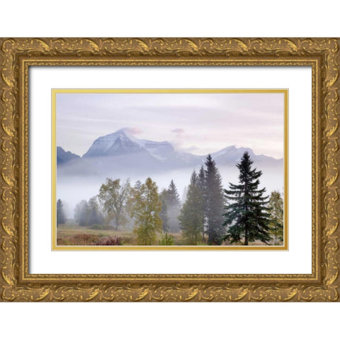 Canada, BC, Mount Robson PP Foggy sunrise Gold Ornate Wood Framed Art Print with Double Matting by Paulson, Don