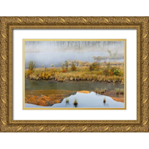 Canada, BC, Mount Robson PP Lake and fog Gold Ornate Wood Framed Art Print with Double Matting by Paulson, Don
