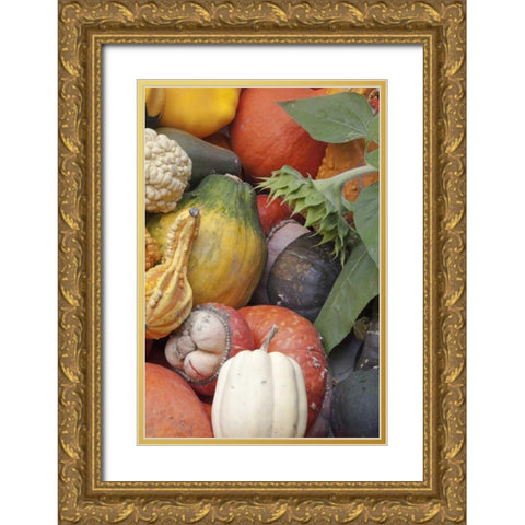 Canada, BC, Keremeos Winter squash Gold Ornate Wood Framed Art Print with Double Matting by Paulson, Don