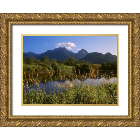 Canada, Pitt Addington Wildlife Management Area Gold Ornate Wood Framed Art Print with Double Matting by Grandmaison, Mike