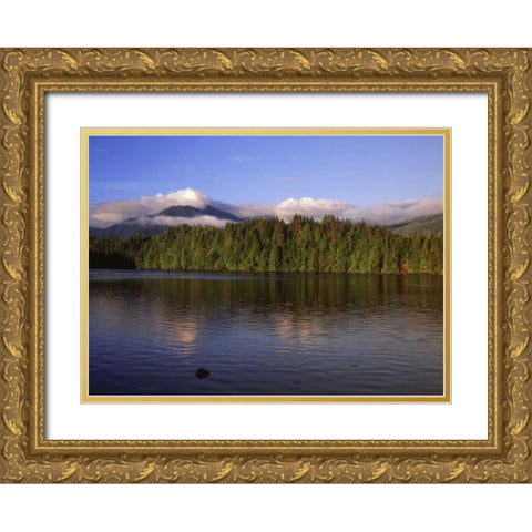 Canada, British Columbia, Coastal forest Gold Ornate Wood Framed Art Print with Double Matting by Grandmaison, Mike