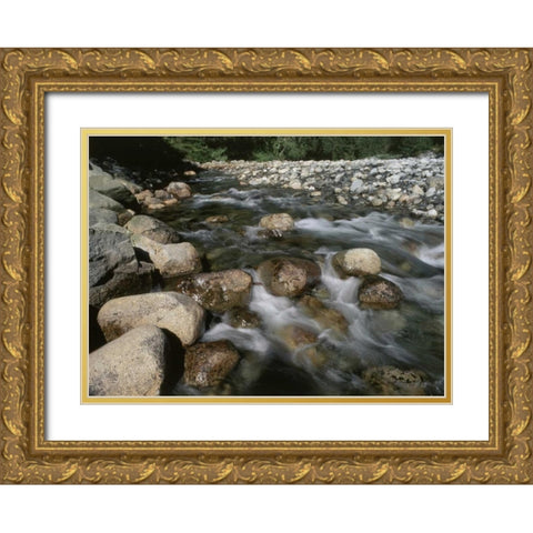Canada, BC, Gold Creek at Golden Ears PP Gold Ornate Wood Framed Art Print with Double Matting by Grandmaison, Mike