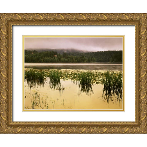 Canada, British Columbia, Clearwater, Dutch Lake Gold Ornate Wood Framed Art Print with Double Matting by Grandmaison, Mike