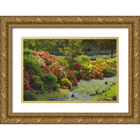 Canada, BC, Vancouver Blooming flowers Gold Ornate Wood Framed Art Print with Double Matting by Grandmaison, Mike