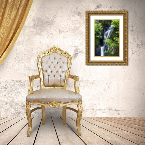 Canada, BC, Langford Waterfall at Goldstream PP Gold Ornate Wood Framed Art Print with Double Matting by Bush, Marie