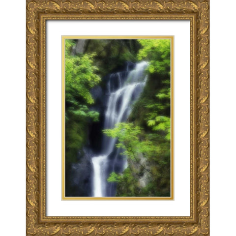 Canada, BC, Langford Waterfall at Goldstream PP Gold Ornate Wood Framed Art Print with Double Matting by Bush, Marie