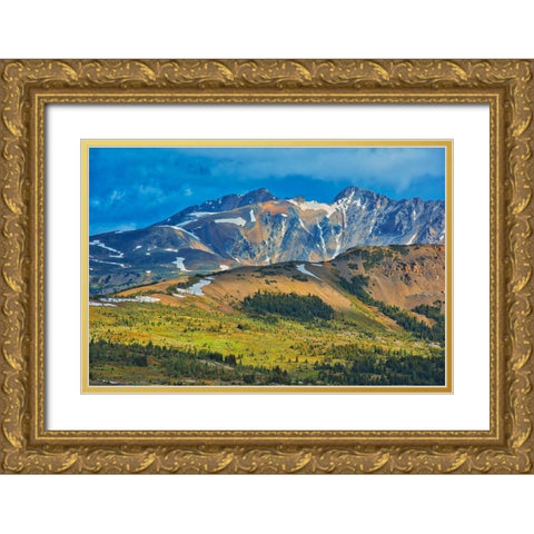 Canada-British Columbia-Sunshine Meadows Mountain and valley landscape Gold Ornate Wood Framed Art Print with Double Matting by Jaynes Gallery