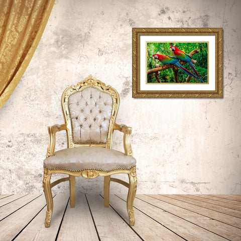 green Wing Macaws-Originally from South America, Gold Ornate Wood Framed Art Print with Double Matting by Perry, William