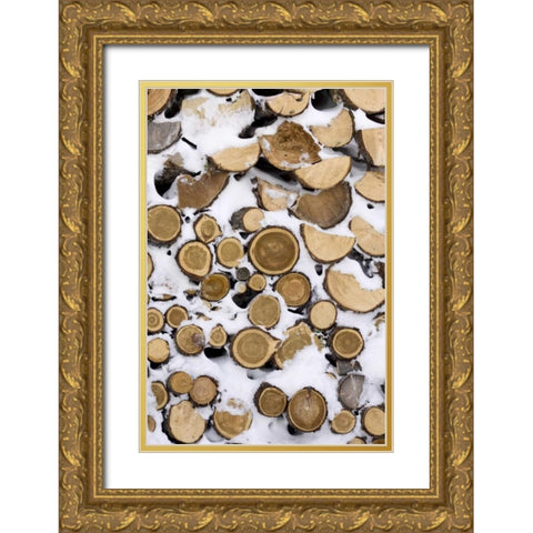 Canada, Churchill Stack of frozen cut fire wood Gold Ornate Wood Framed Art Print with Double Matting by Kaveney, Wendy