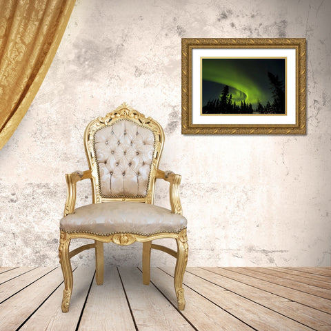 Canada, Manitoba Aurora borealis and trees Gold Ornate Wood Framed Art Print with Double Matting by Illg, Cathy and Gordon