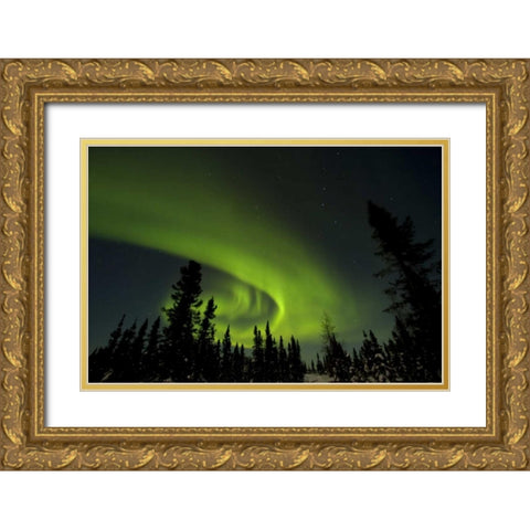 Canada, Manitoba Aurora borealis and trees Gold Ornate Wood Framed Art Print with Double Matting by Illg, Cathy and Gordon