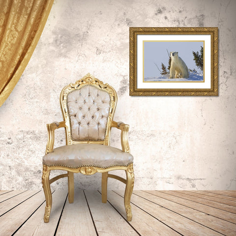 Canada, Wapusk NP Polar bear cub and mother Gold Ornate Wood Framed Art Print with Double Matting by Illg, Cathy and Gordon