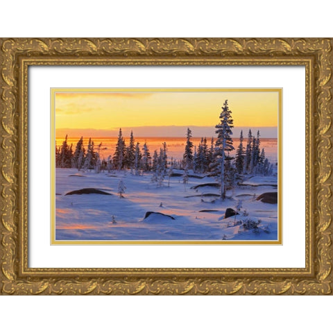 Canada, Churchill, Hudson Bay Sunrise on tundra Gold Ornate Wood Framed Art Print with Double Matting by Grandmaison, Mike