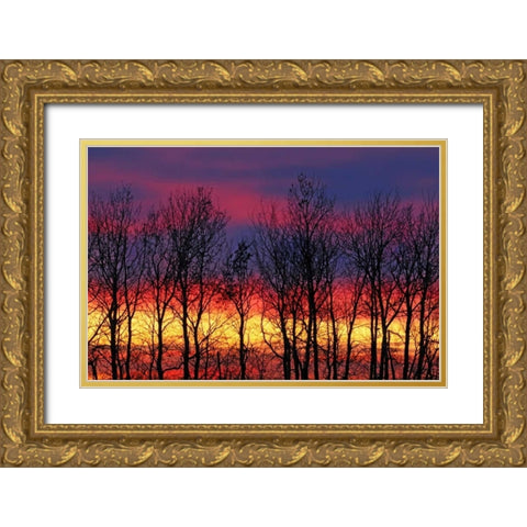 Canada, Matclock Trees and clouds at sunrise Gold Ornate Wood Framed Art Print with Double Matting by Grandmaison, Mike