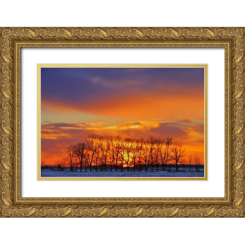 Canada, Altona Trees at sunrise on the prairie Gold Ornate Wood Framed Art Print with Double Matting by Grandmaison, Mike