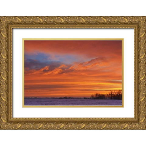 Canada, Deacons Corner Sunrise over the prairie Gold Ornate Wood Framed Art Print with Double Matting by Grandmaison, Mike