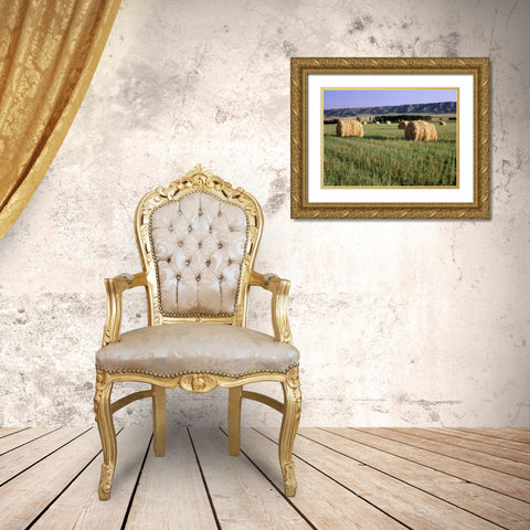 Canada, Manitoba, rolled hay bales in field Gold Ornate Wood Framed Art Print with Double Matting by Grandmaison, Mike
