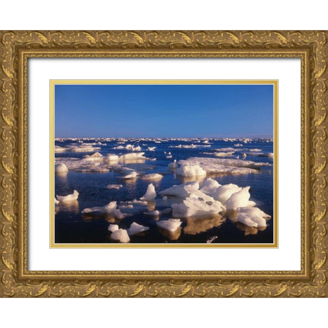 Canada, Churchill, ice floe in Hudson Bay Gold Ornate Wood Framed Art Print with Double Matting by Grandmaison, Mike