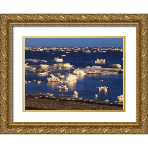 Canada, Churchill, ice floe in Hudson Bay Gold Ornate Wood Framed Art Print with Double Matting by Grandmaison, Mike