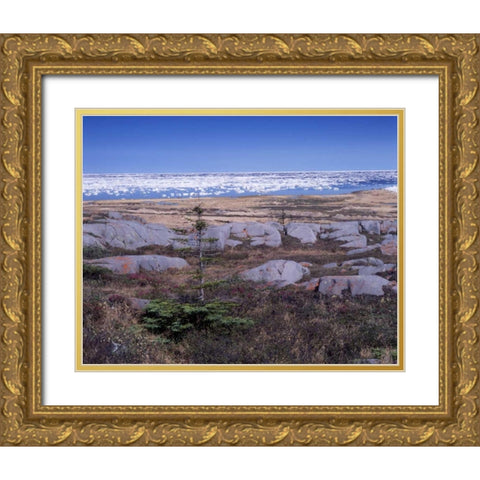 Canada, Manitoba, Churchill, Ice floe floating Gold Ornate Wood Framed Art Print with Double Matting by Grandmaison, Mike