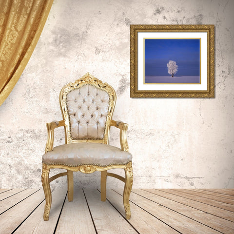 Canada, Dugald, hoarfrost on cottonwood trees Gold Ornate Wood Framed Art Print with Double Matting by Grandmaison, Mike