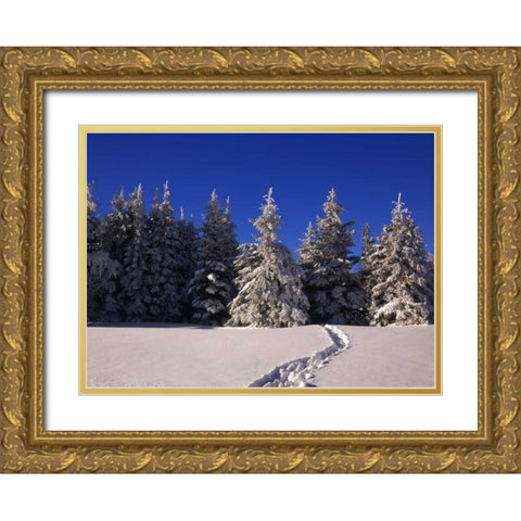 Canada, Manitoba, Riding Mountain NP Gold Ornate Wood Framed Art Print with Double Matting by Grandmaison, Mike