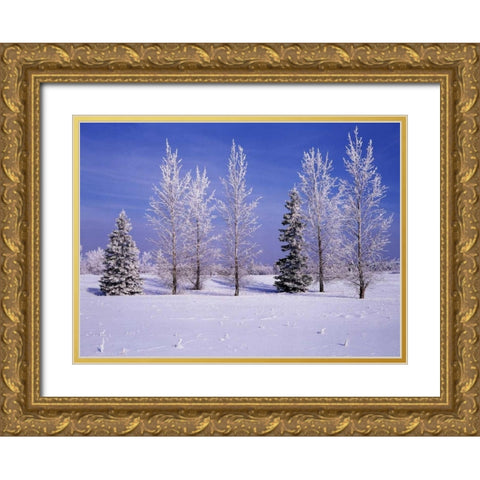 Canada, Manitoba, Birds Hill Provincial Park Gold Ornate Wood Framed Art Print with Double Matting by Grandmaison, Mike