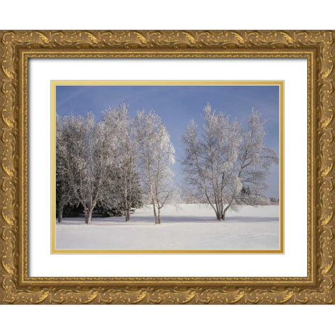 Canada, Manitoba, Birds Hill Provincial Park Gold Ornate Wood Framed Art Print with Double Matting by Grandmaison, Mike