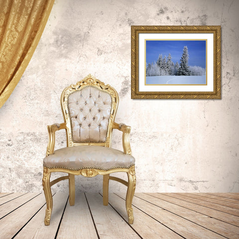 Canada, Manitoba, Birds Hill Provincial Park Gold Ornate Wood Framed Art Print with Double Matting by Grandmaison, Mike