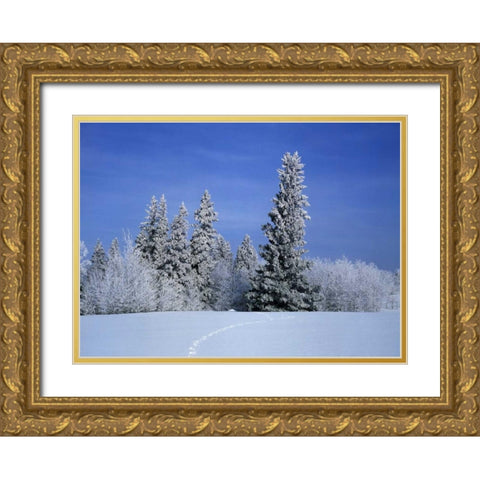 Canada, Manitoba, Birds Hill Provincial Park Gold Ornate Wood Framed Art Print with Double Matting by Grandmaison, Mike