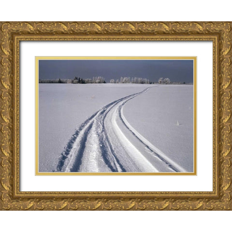 Canada, Manitoba, Tire tracks in snow landscape Gold Ornate Wood Framed Art Print with Double Matting by Grandmaison, Mike