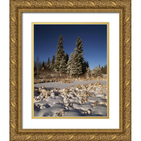 Canada, Manitoba, Riding Mountain NP Gold Ornate Wood Framed Art Print with Double Matting by Grandmaison, Mike