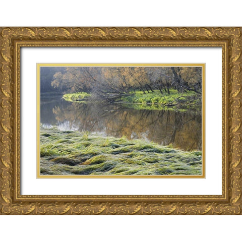 Canada Manitoba Fall on shore of LaSalle River Gold Ornate Wood Framed Art Print with Double Matting by Grandmaison, Mike