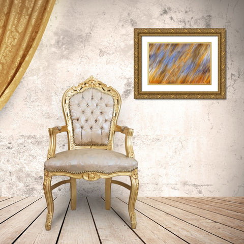Canada, Manitoba Abstract of autumn leaves Gold Ornate Wood Framed Art Print with Double Matting by Grandmaison, Mike