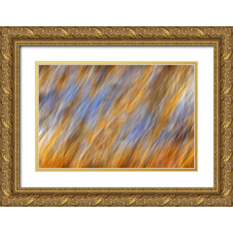 Canada, Manitoba Abstract of autumn leaves Gold Ornate Wood Framed Art Print with Double Matting by Grandmaison, Mike
