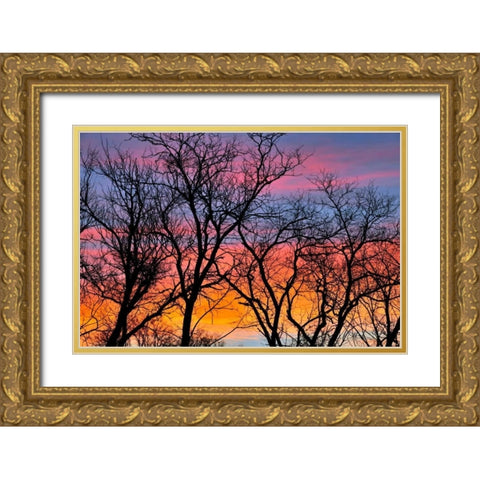 Canada, Manitoba Trees at sunrise Gold Ornate Wood Framed Art Print with Double Matting by Grandmaison, Mike
