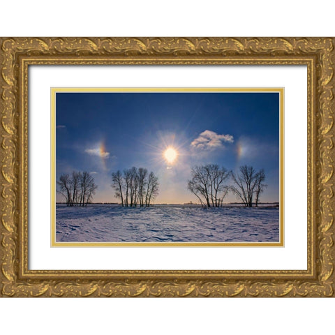 Canada-Manitoba-Grande Pointe Sundogs and cottonwood trees Gold Ornate Wood Framed Art Print with Double Matting by Jaynes Gallery