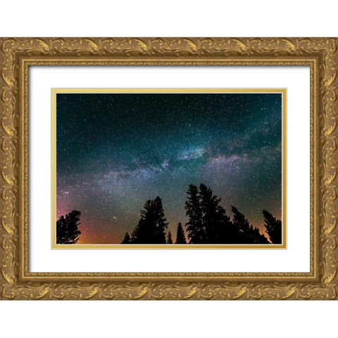 Canada-Manitoba-Milky Way Galaxy and starry night with white spruce in foreground Gold Ornate Wood Framed Art Print with Double Matting by Jaynes Gallery