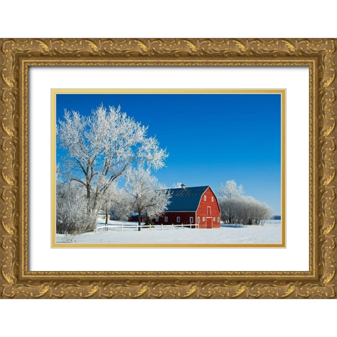 Canada-Manitoba-Grande Pointe Hoarfrost and red barn in winter Gold Ornate Wood Framed Art Print with Double Matting by Jaynes Gallery