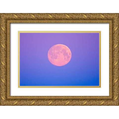 Canada-Manitoba-Dugald Full moon at dawn Gold Ornate Wood Framed Art Print with Double Matting by Jaynes Gallery