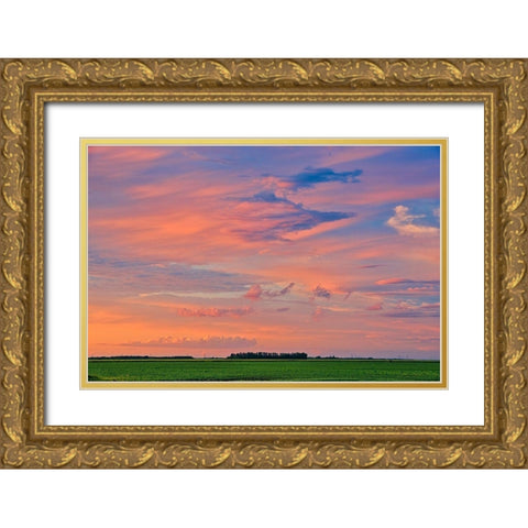 Canada-Manitoba-Dugald Clouds at sunset on prairie Gold Ornate Wood Framed Art Print with Double Matting by Jaynes Gallery