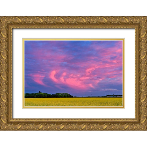 Canada-Manitoba-Dugald Clouds at sunset on prairie Gold Ornate Wood Framed Art Print with Double Matting by Jaynes Gallery