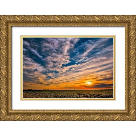 Canada-Manitoba-Dugald Clouds at sunset on prairie Gold Ornate Wood Framed Art Print with Double Matting by Jaynes Gallery