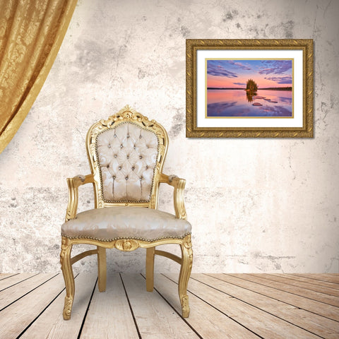 Canada- Manitoba- Paint Lake Provincial Park. Island on Paint Lake at sunrise. Gold Ornate Wood Framed Art Print with Double Matting by Jaynes Gallery