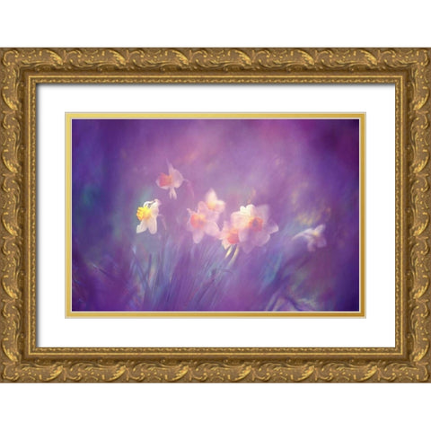 Canada, New Brunswick Abstract of daffodils Gold Ornate Wood Framed Art Print with Double Matting by Needle, Charles