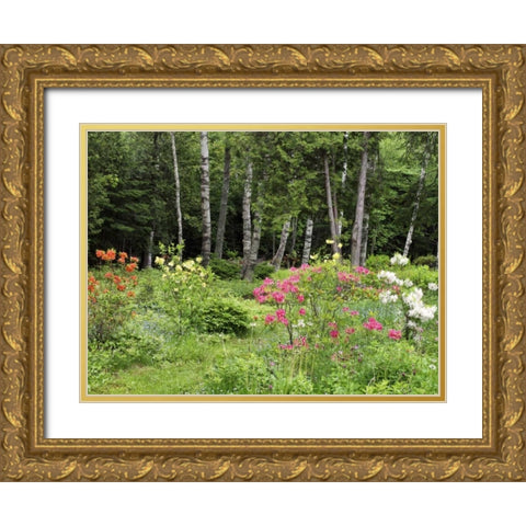 Canada, New Brunswick, garden and forest Gold Ornate Wood Framed Art Print with Double Matting by Anon, Ellen