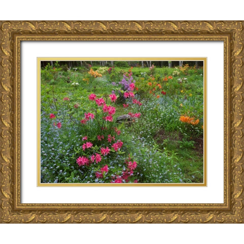 Canada, New Brunswick, Beautiful garden flowers Gold Ornate Wood Framed Art Print with Double Matting by Anon, Ellen