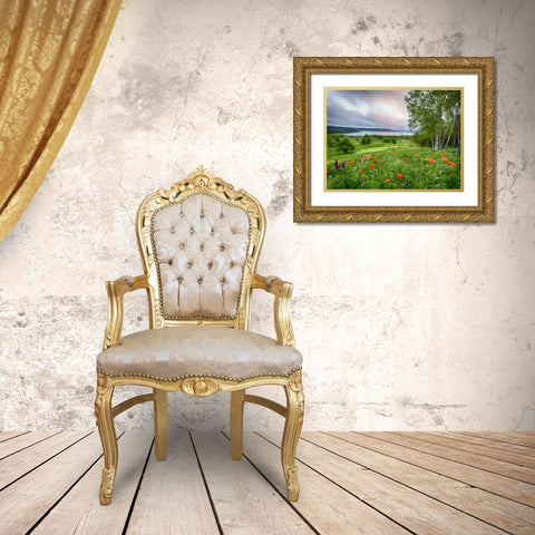 Canada, New Brunswick Landscape of meadow Gold Ornate Wood Framed Art Print with Double Matting by Anon, Ellen
