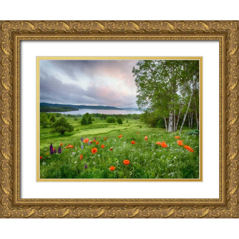 Canada, New Brunswick Landscape of meadow Gold Ornate Wood Framed Art Print with Double Matting by Anon, Ellen